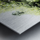 Natures Flow through the Scottish Highlands                                                                                                                      Metal print