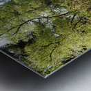  Springs Salute for the Scottish Highlands                                                                                                                     Metal print