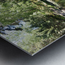 Scottish Highlands Lily Lochan                                                                                                                      Metal print