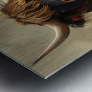 Highlander Cow Metal print