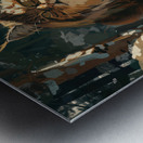 Maine Coon Cat Metal print