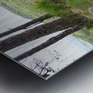  The Burn in the Scottish Highlands                                                                                                                     Metal print