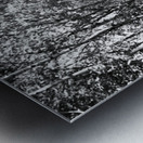 Monochrome Path in the Scottish Highlands                                                                                                                      Metal print