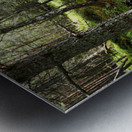  Scottish Highlands Forest Stream                                                                                                                   Metal print