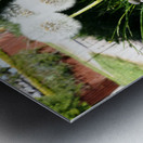 Dandelions of the Scottish Highlands                                                                                                                       Metal print