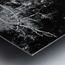 Scottish Highlands Dark Forest Metal print