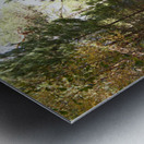 Summer Highlands Summer Forest Metal print