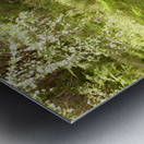 Scottish Highlands Birch Tree Summer Metal print