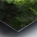 Scottish Highlands Spring Trail                                                                                                                      Metal print