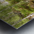 Scottish Highlands Fairy Tale Summer Metal print