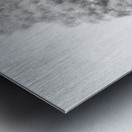 Monochrome Birch Tree Trio Metal print