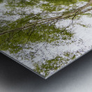 Fairies Spring in the Scottish Highlands  Metal print