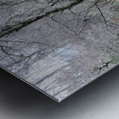 Scottish Highlands Winters Longing Metal print