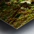 Wild Flowers in the Scottish Highlands Metal print