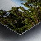 Scottish Highlands Summer Landscape Metal print