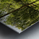 Meadows Sweet in the Scottish Highlands Metal print