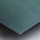 Juvenile Five Lined Skink Metal print