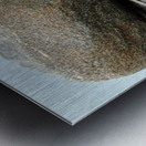 Five Lined Skink And Garter Snake Metal print