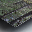 Scottish Highlands Pine and Heather Metal print