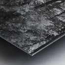 The Trail is Black and White Metal print