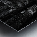 Black and White Ferns with Pines   Metal print