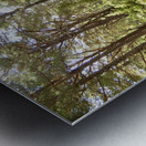 The Trail in the Scottish Highlands Metal print