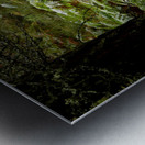 Ferns and Pine Metal print