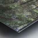 The Trail is Colourful Metal print