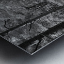 Black and White Forest Walk through the Scottish Highlands Metal print