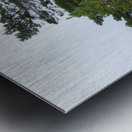 Natures Pine in the Scottish Highlands  Metal print