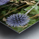 Scotlands Wild Heart Metal print