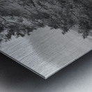 Monochrome Solitary Pine Metal print