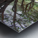 Green Pine Forest Dream Metal print