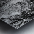 Scottish Highlands Black and White Forest Metal print