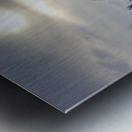 Winter Pine Silhouettes  Metal print