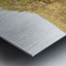 Scottish Highlands Forest Reflection  Metal print