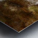 Scottish Highlands Pines Reflections Metal print