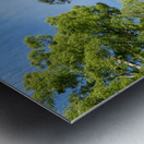 Scottish Highlands Summer Birch Tree Sky Metal print