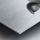 Funny Dog Metal print