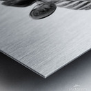 Funny Zebra Metal print