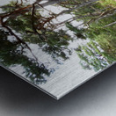 Scottish Highlands Mystical Pine Woodland  Metal print