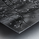 Monochrome Tear Drops Metal print