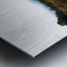 Scottish Highlands Heather Landscape                                                                                                                      Metal print