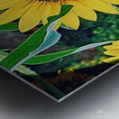 BEEtiful RezN888 Holt Metal print