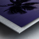 Palm Sunset Metal print