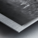 A Gentle Glide Metal print