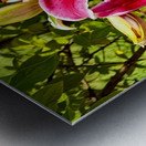 Nancys Day Lily Metal print