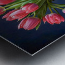 Red Tulips in Blue Metal print