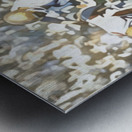 Prentice Gautt Oklahoma Sooner Touchdown Run Metal print