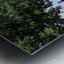 Horse-drawn Caisson Metal print